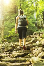 Rear view of female hiker in forest