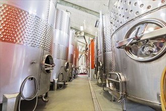 Stainless steel tanks in winery cellar