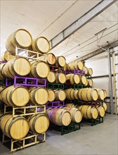 Wine barrels on racks in cellar