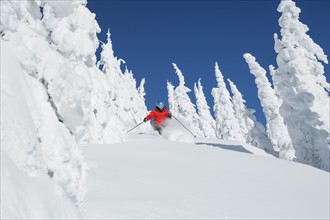 Mature woman skiing between trees covered with snow