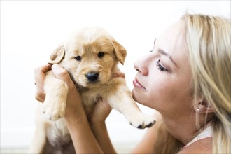 Portrait of Golden Retriever puppy with owner