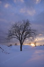 Sunset on winter day on banks of Lake Champlain