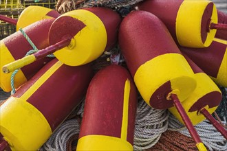 Colorful buoys and ropes