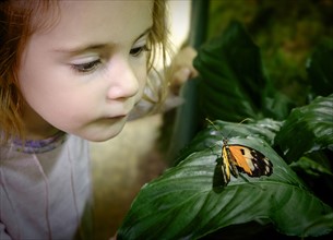 Girl (2-3) looking at butterfly on leaf.