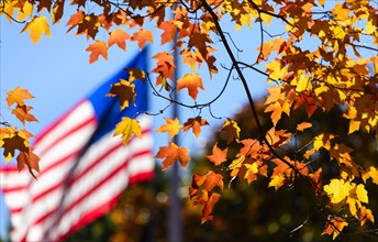 Autumn leaves with American Flag in background. Central Park, New York, New York State, USA.