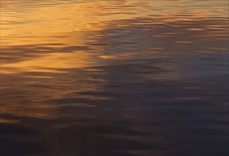 Rippled water reflecting golden light