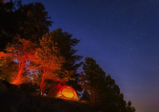 Tent by forest at night
