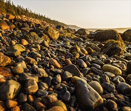 Rocks on beach at sunrise