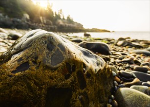 Rocks and pebbles on beach at sunrise