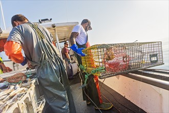 Fishermen preparing lobster traps