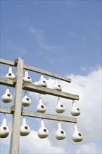 Birdhouses made of gourds