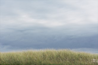 Cloudy sky and meadow