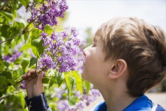 Portrait of boy (6-7) smelling flowers