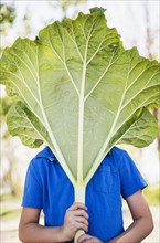 Portrait of boy (6-7) hiding behind large rhubarb leaf
