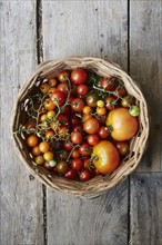 Overhead view of basket with tomatoes