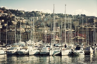 Yachts in Genoa harbor
