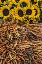 Carrots and sunflowers in farmers market