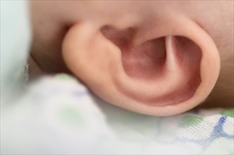 Close-up of baby boy's (2-5 months) ear.
