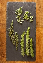 Herbs on tray