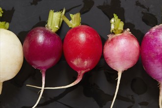 Wet radishes
