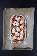 Pizza dough with tomato sauce and mozzarella on wax paper
