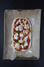Pizza dough with tomato sauce and vegetables on wax paper