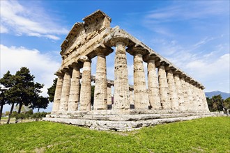 Old architectural columns of Paestum ruins on grass