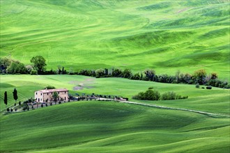 Green rolling landscape with farmhouse