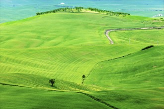 Green rolling landscape with winding road