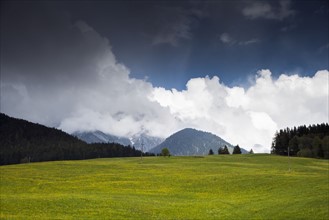 Landscape of green meadow and mountains in background