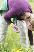 Woman picking wild flowers in meadow