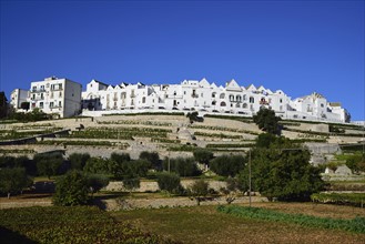 Terraced vineyards and town on hill