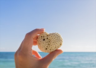 Hand holding heart-shaped shell against sea and blue sky