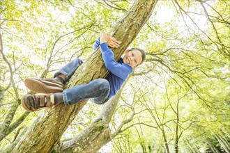 Smiling boy (6-7) climbing tree