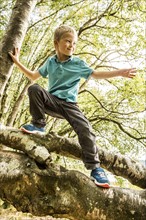 Boy (8-9) climbing branch