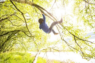 Boy (6-7) hanging on branch