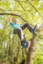 Boy (8-9) hanging on branch