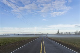 Highway going through plain covered with fog