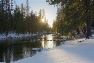 River in winter forest