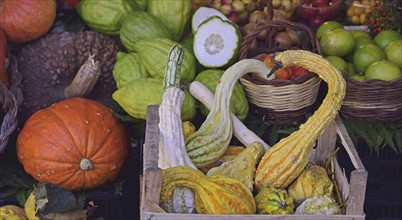 Autumn vegetables at farmer's market