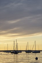 Boats in harbor at dawn