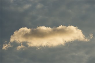 Cumulus cloud against sky