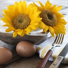 Sunflowers and eggs on table.