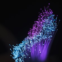 Bunch of glowing blue and purple fiber optic cables.