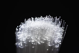 Bunch of glowing fiber optic cables on black background.