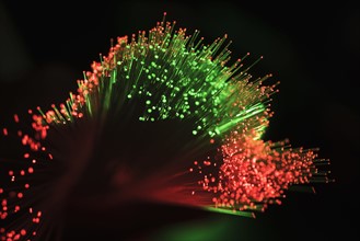 Bunch of glowing red and green fiber optic cables on black background.