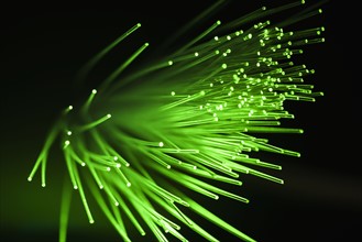 Bunch of glowing green fiber optic cables on black background.