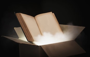 Book in an open cardboard box.
