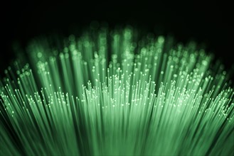 Bunch of glowing green fiber optic cables on black background.
