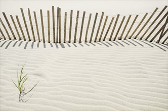 Massachusetts, Nantucket Island, Sand fence on beach
